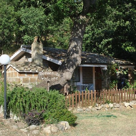 Azienda Agricola Biologica La Cardellina Tolfa Esterno foto