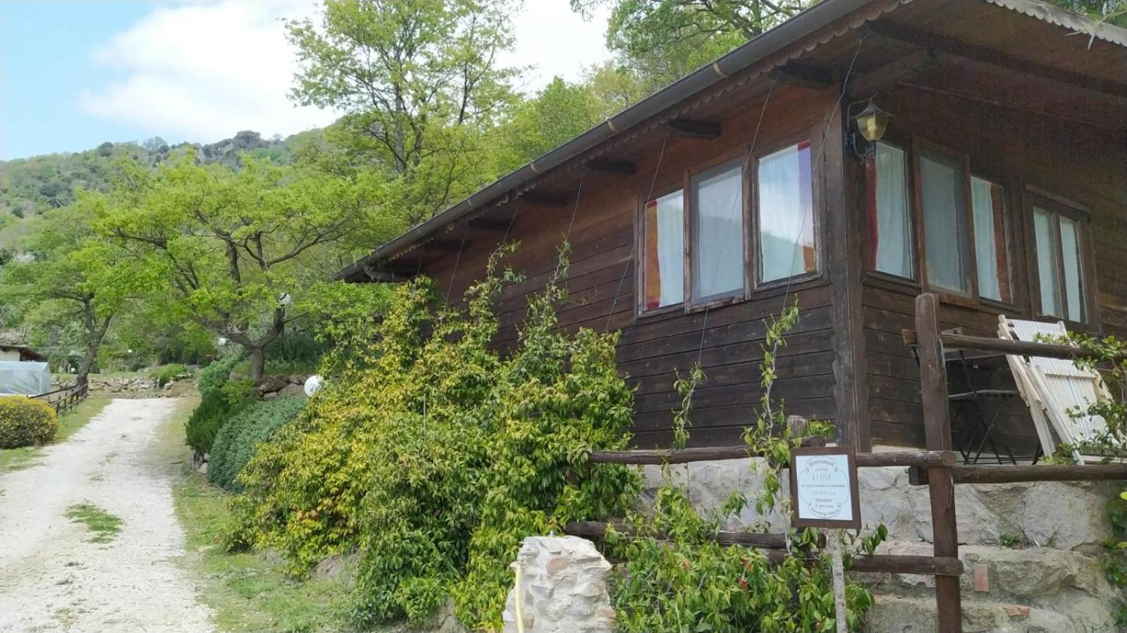 Azienda Agricola Biologica La Cardellina Tolfa Esterno foto