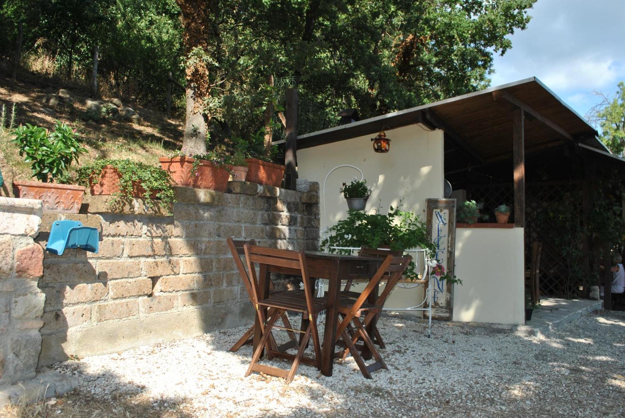 Azienda Agricola Biologica La Cardellina Tolfa Esterno foto