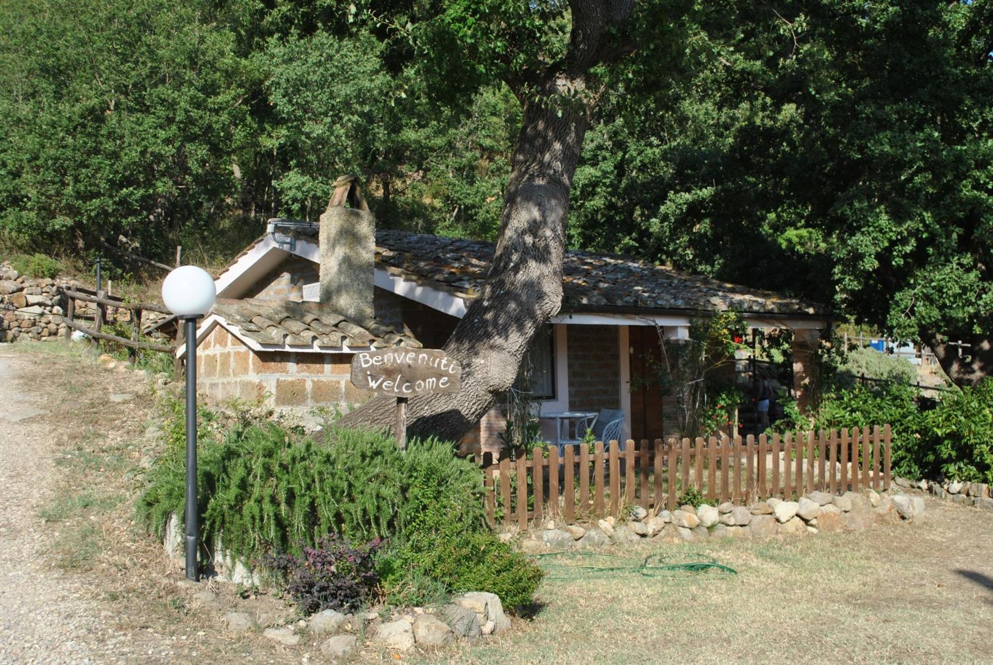 Azienda Agricola Biologica La Cardellina Tolfa Esterno foto