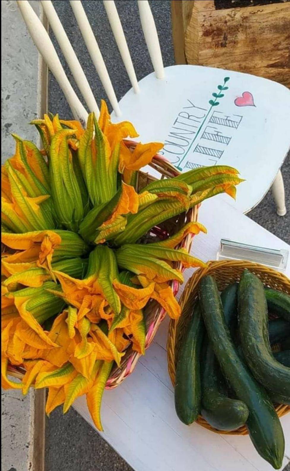 Azienda Agricola Biologica La Cardellina Tolfa Esterno foto