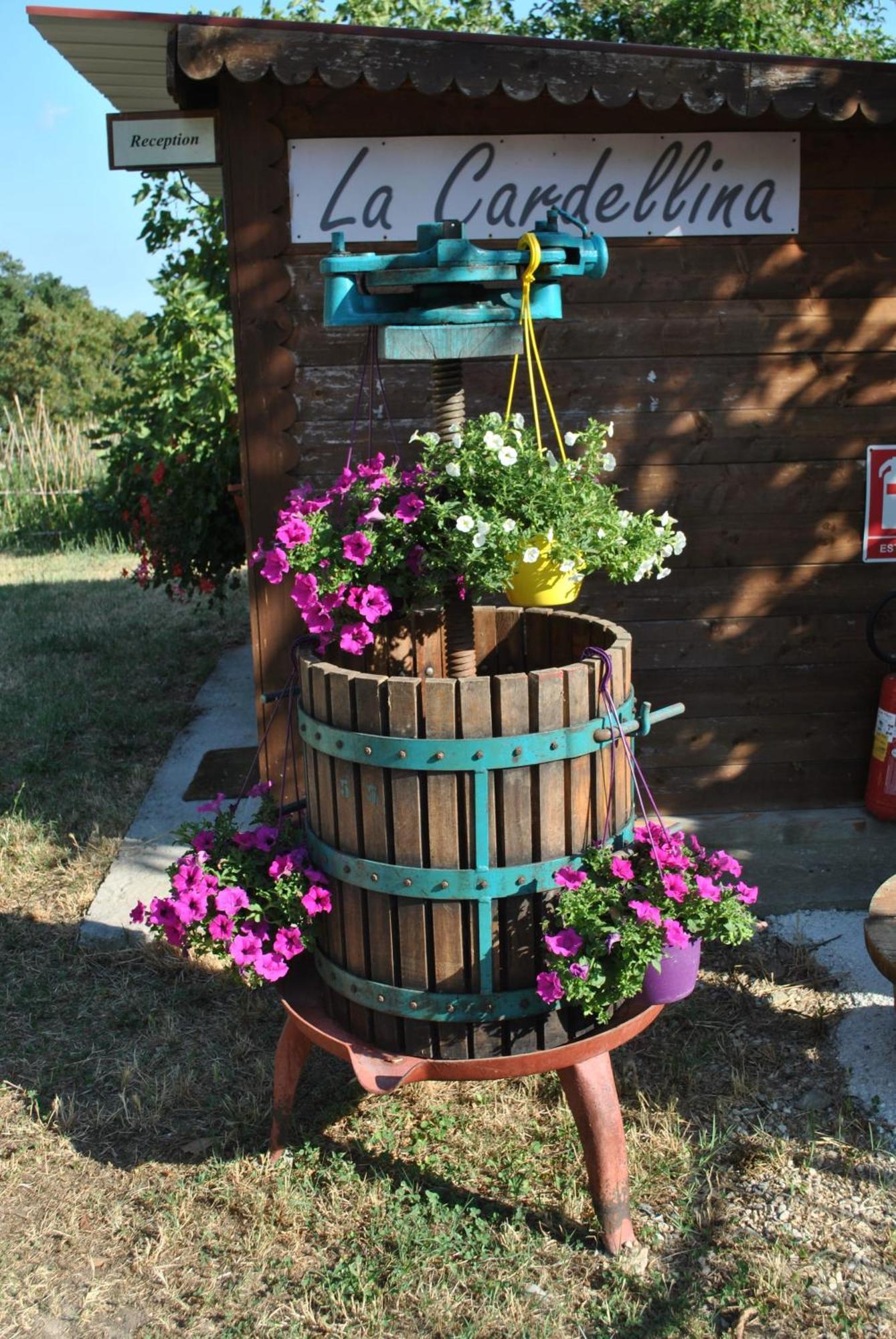 Azienda Agricola Biologica La Cardellina Tolfa Esterno foto
