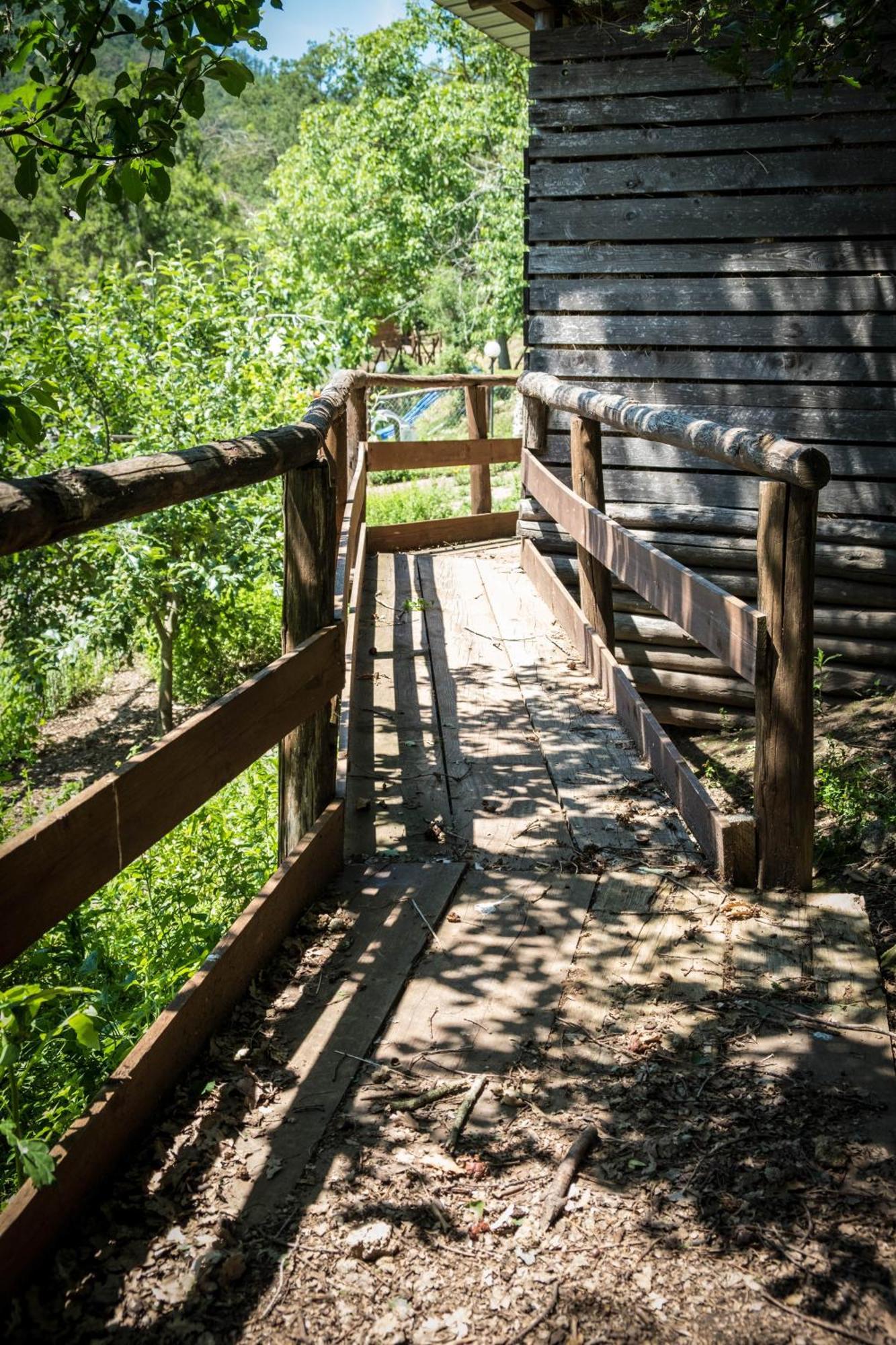 Azienda Agricola Biologica La Cardellina Tolfa Esterno foto