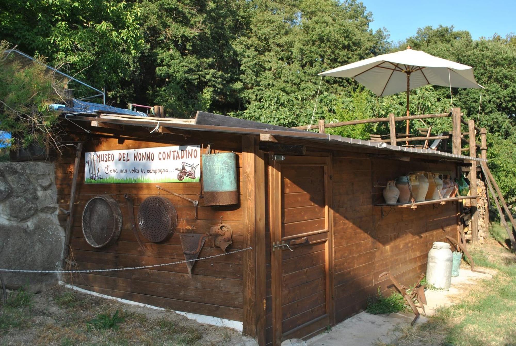 Azienda Agricola Biologica La Cardellina Tolfa Esterno foto