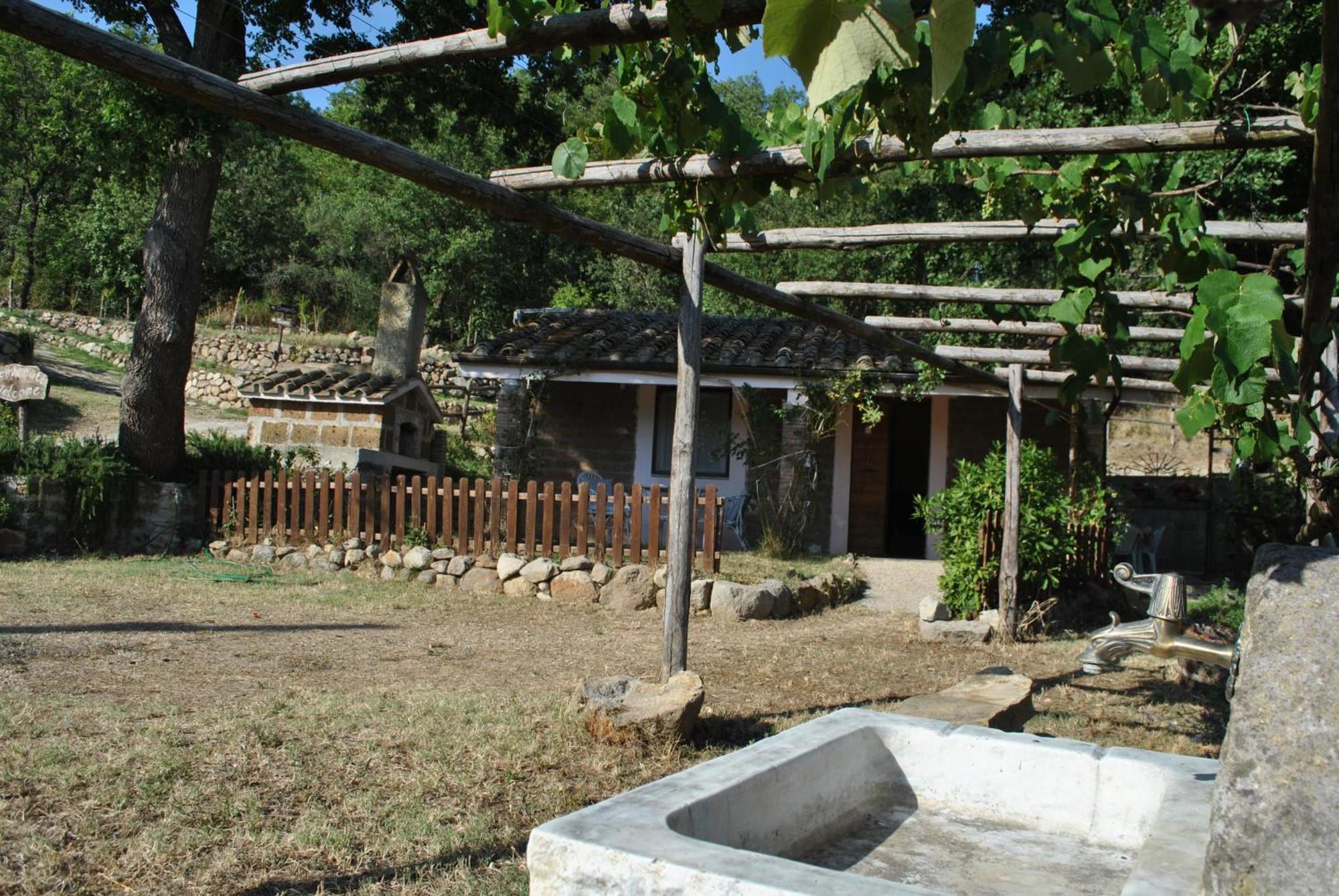 Azienda Agricola Biologica La Cardellina Tolfa Esterno foto