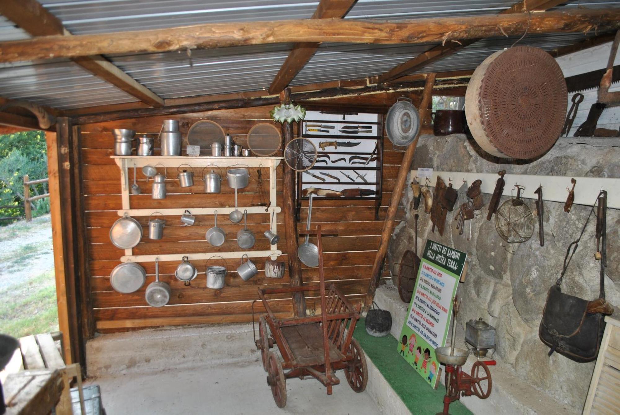 Azienda Agricola Biologica La Cardellina Tolfa Esterno foto