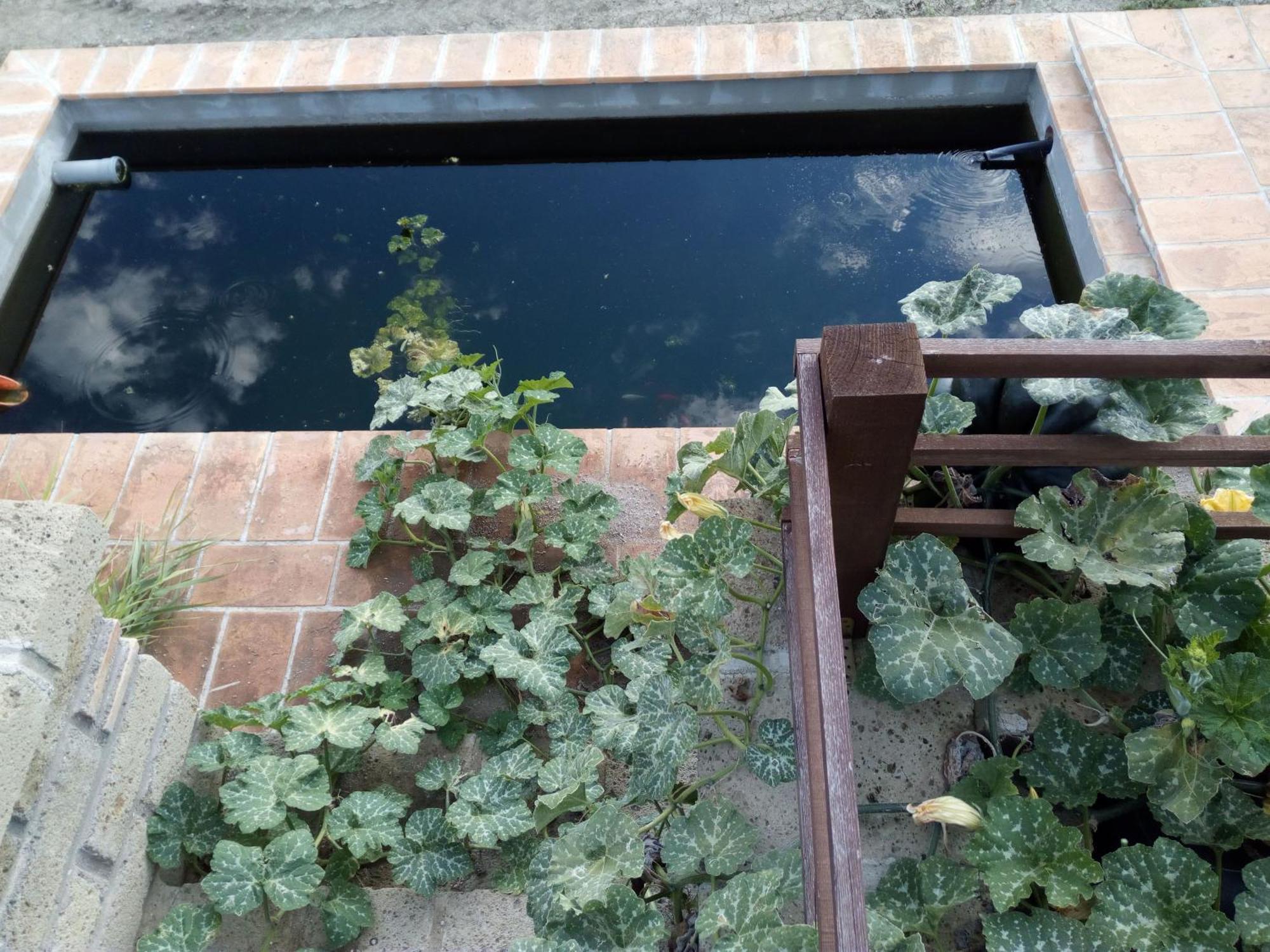 Azienda Agricola Biologica La Cardellina Tolfa Esterno foto