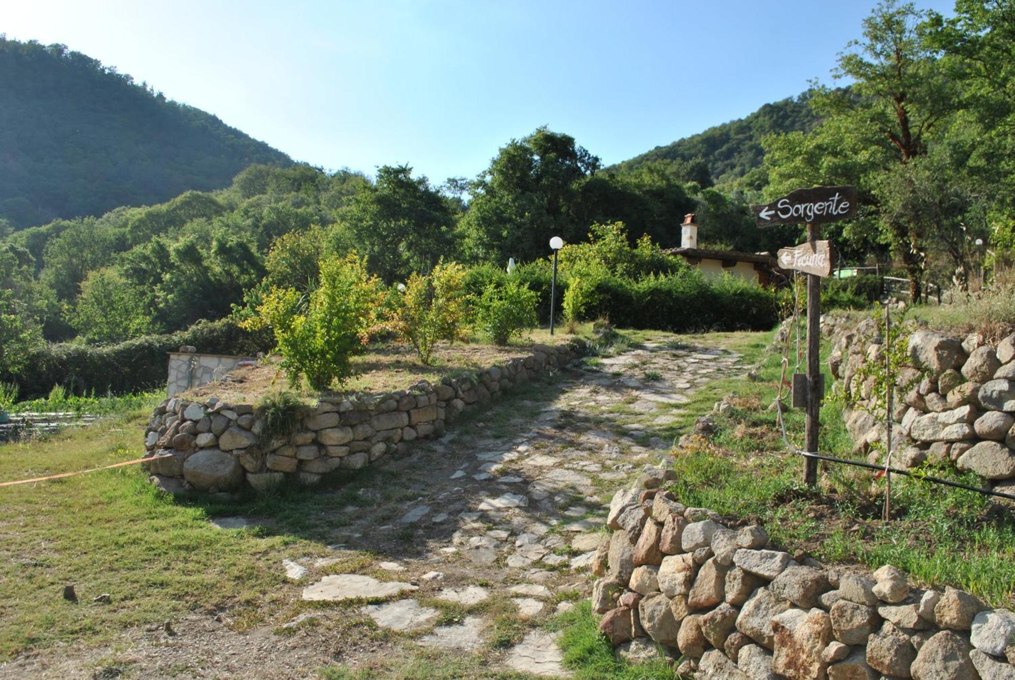 Azienda Agricola Biologica La Cardellina Tolfa Esterno foto
